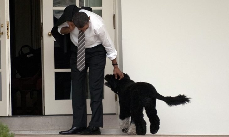 باراك أوباما ينعى كلبه الأليف
